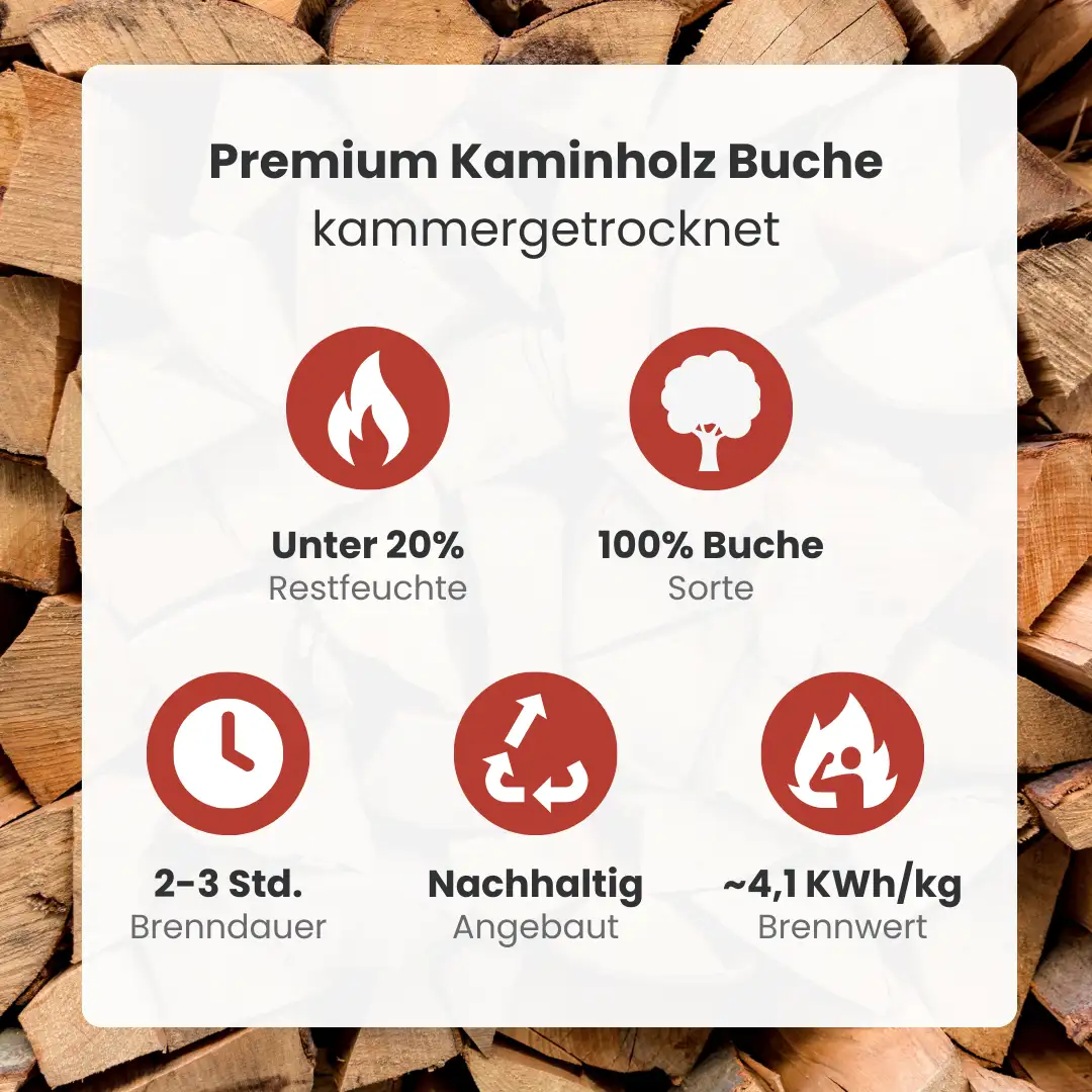 kb-produkt-buche-02.webp Brennholz Buche kammergetrocknet | 2 RM – Bild 2