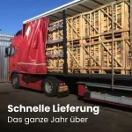 LKW Ladung Kaminholz Buche – Bild 8