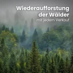 Brennholz Buche kammergetrocknet | 2 RM – Bild 8