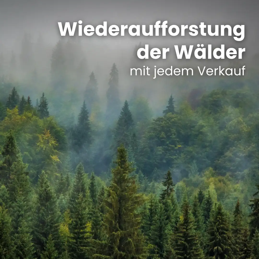 kb-produktdetails-05.webp Brennholz Buche kammergetrocknet | 2 RM – Bild 8