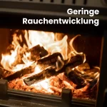 Brennholz Buche kammergetrocknet | 2 RM – Bild 5