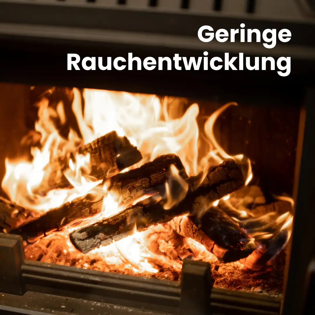 kb-produktdetails-09.webp Brennholz Buche kammergetrocknet | 2 RM – Bild 5