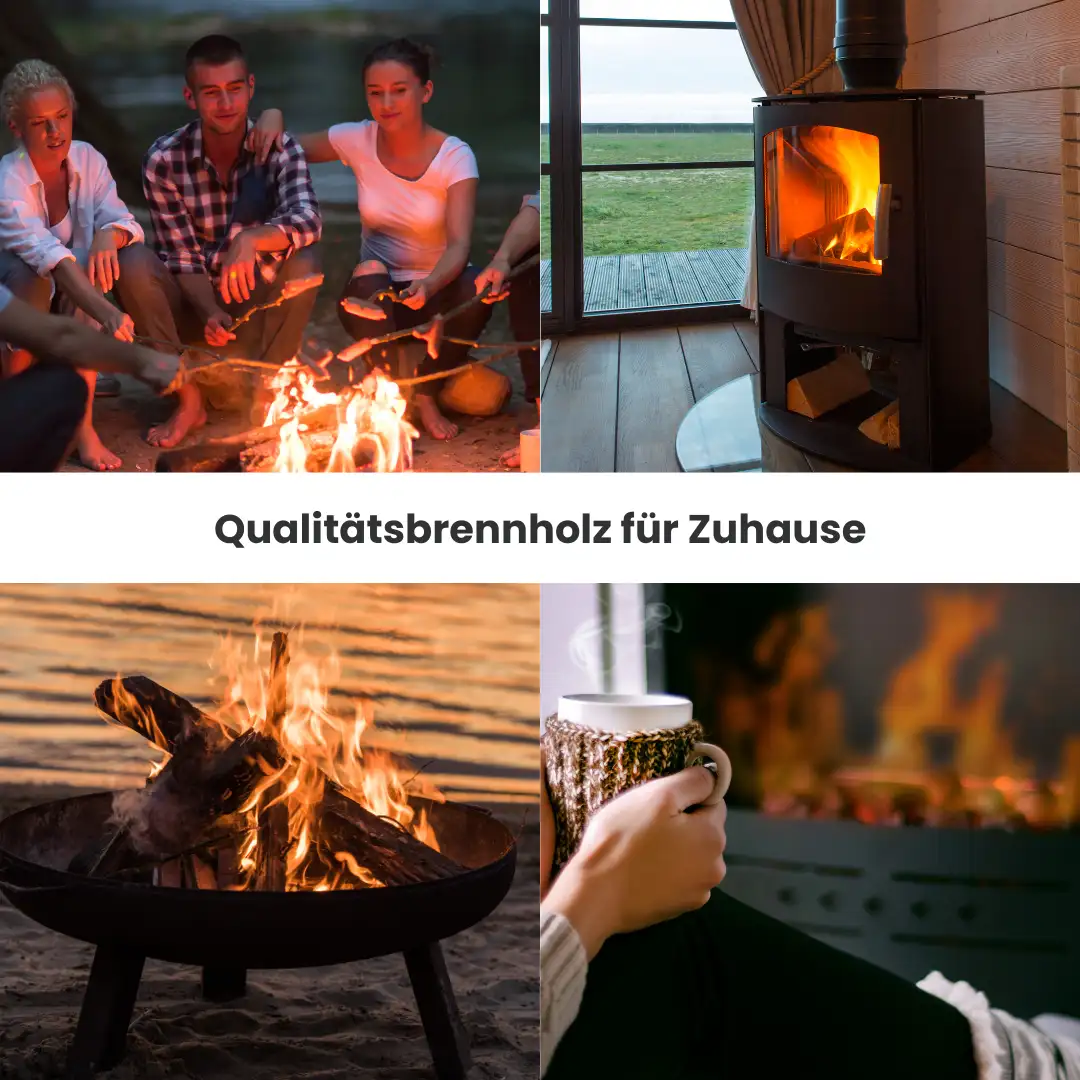 kb-produktdetails-10.webp Brennholz Buche kammergetrocknet | 2 RM – Bild 7