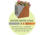Kaminholzregal Palatino Woodpecker PRO 100 x 40 x 50 cm braun – Bild 3